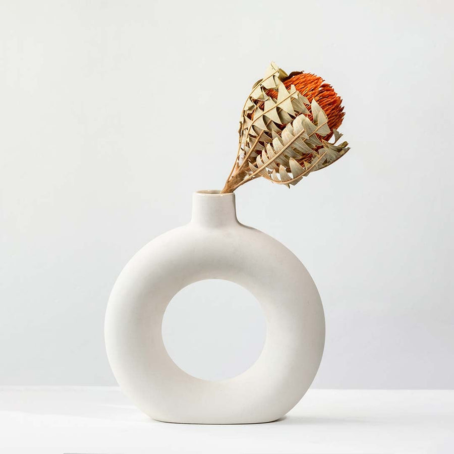 Dried orange protea stem styled naturally for warm earthy home decor accents shown against a clean light background.