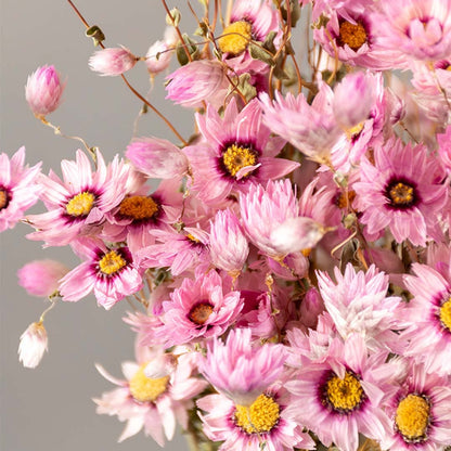 A detailed closeup of pink dried flowers showing the layered petals soft textures and natural color variations for a clear view of the floral design.