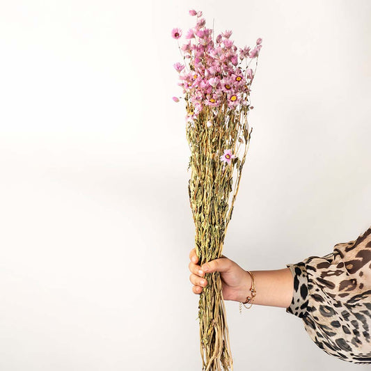 Hand holding a lush pink and yellow dried wildflower bouquet bundle for cottagecore bedroom decor on white backdrop.