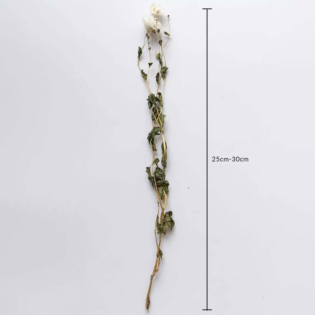 Artificial white flower stem measuring 25–30 cm in height designed with natural green leaves perfect for elegant vase arrangements.