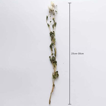 Artificial white flower stem measuring 25–30 cm in height designed with natural green leaves perfect for elegant vase arrangements.