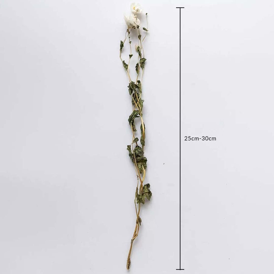 Artificial white flower stem measuring 25–30 cm in height designed with natural green leaves perfect for elegant vase arrangements.
