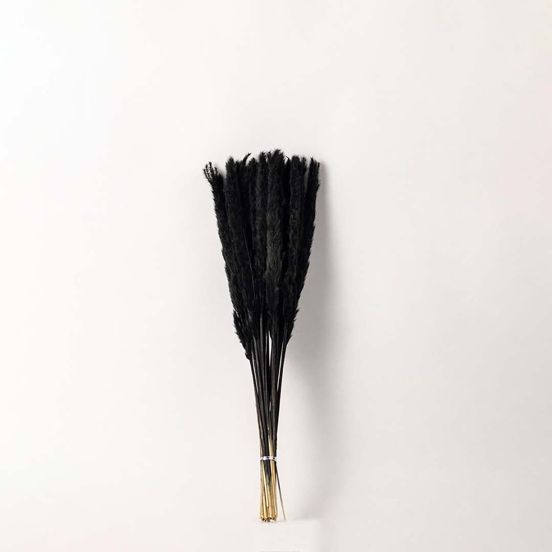 Dried stems placed on a white background offering a modern minimal look that highlights the contrast between vase and foliage.