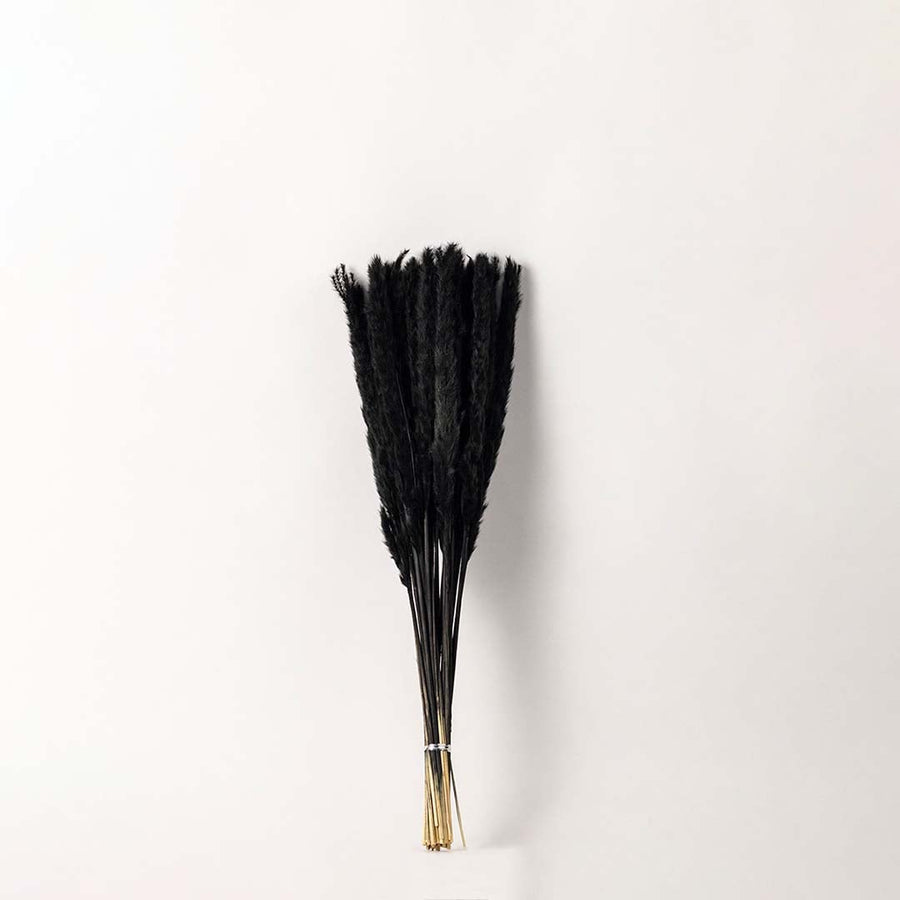 Dried stems placed on a white background offering a modern minimal look that highlights the contrast between vase and foliage.