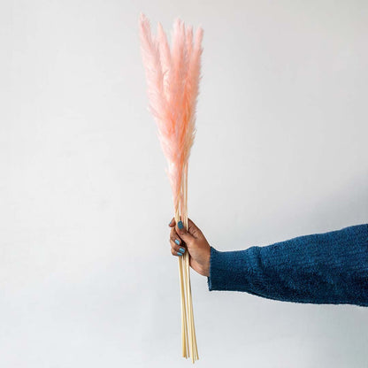 Small Pampas Grass - Light Pink