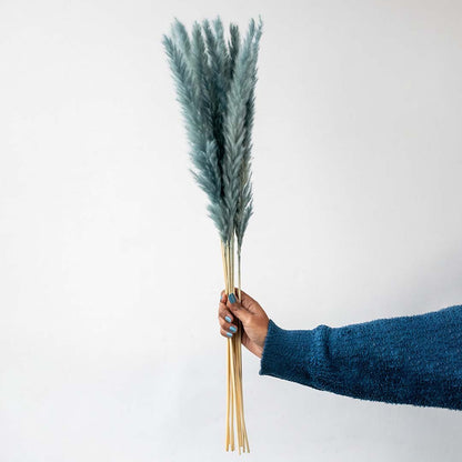 Hand holding a bundle of teal blue dyed mini pampas grass stems for elegant bohemian coastal tabletop vase on white backdrop.