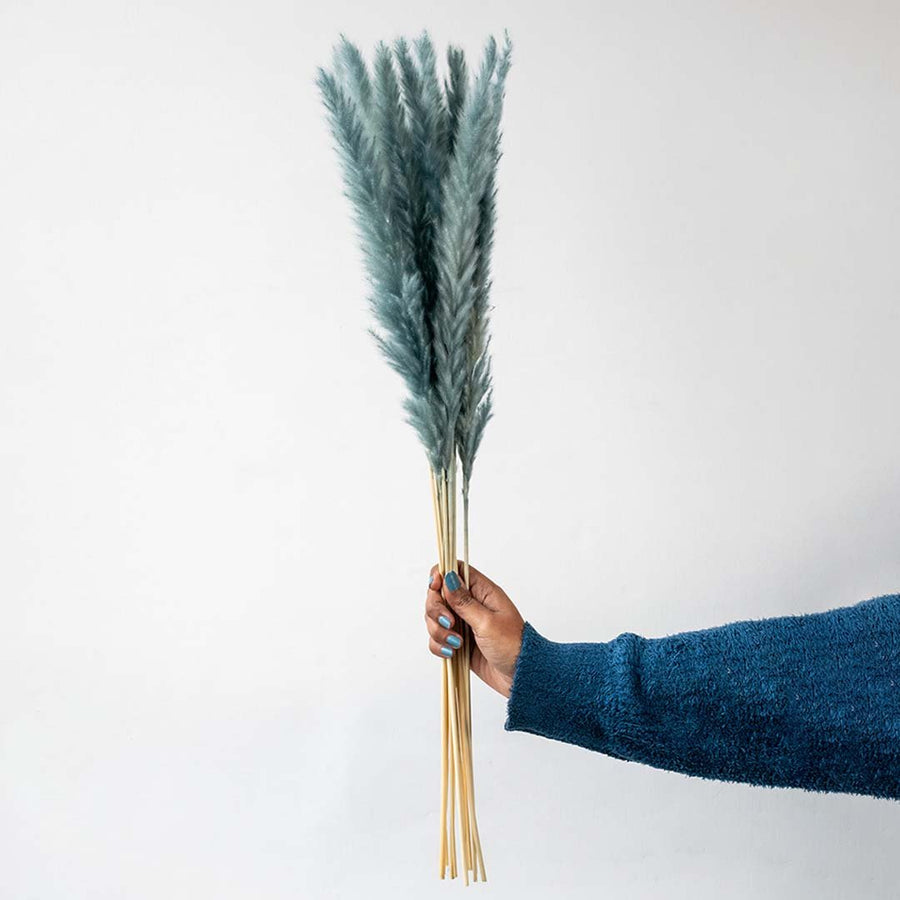 Hand holding a bundle of teal blue dyed mini pampas grass stems for elegant bohemian coastal tabletop vase on white backdrop.