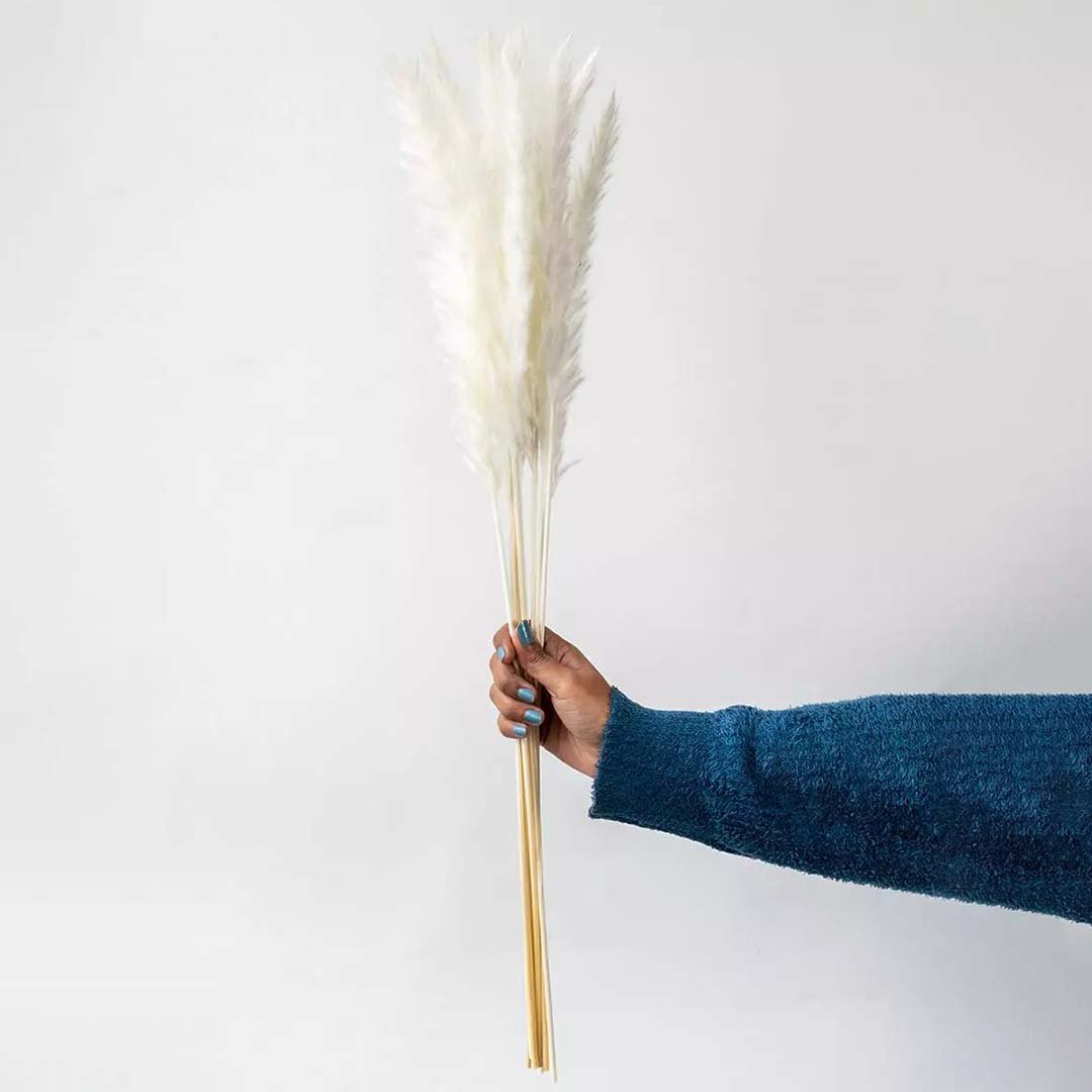 Hand holding a single fluffy bleached white dried pampas grass stem for minimalist modern bohemian room vase decoration.