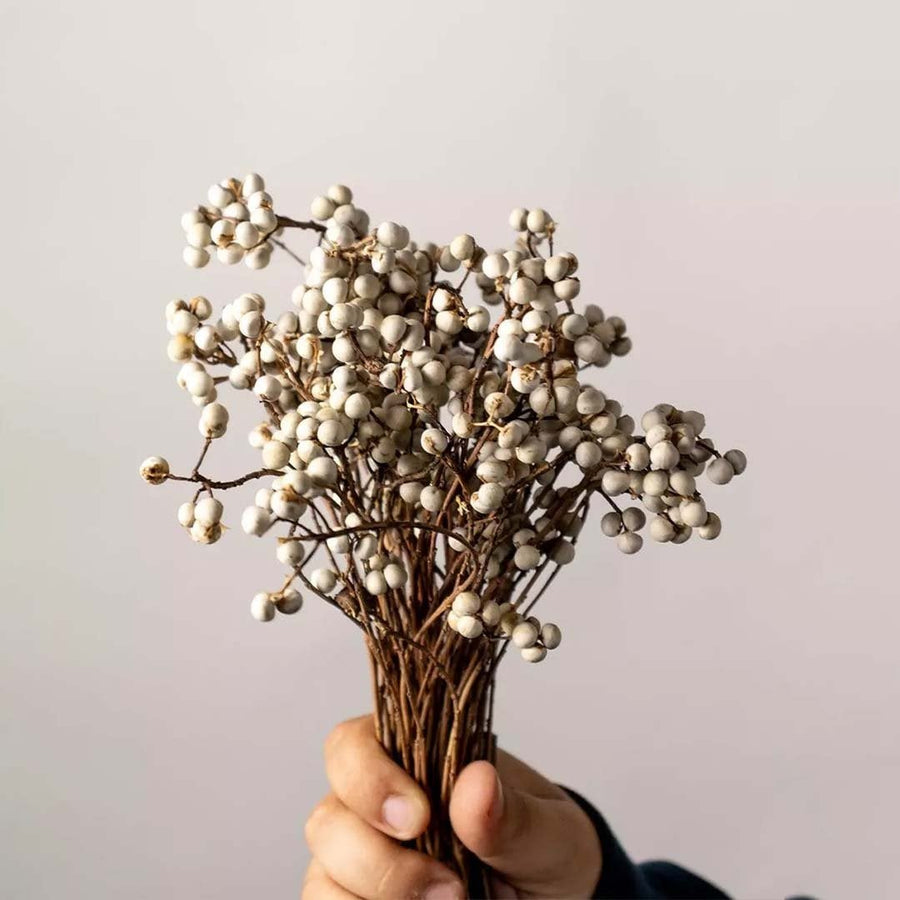 Closeup of natural dried white berry stems highlighting detailed textured buds and earthy branches perfect for rustic vase styling and warm home decor.