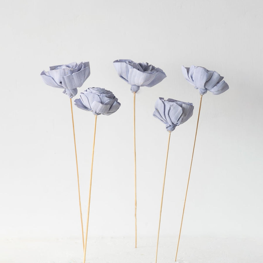 Set of purple dried flowers with delicate petals and long stems perfect for vase styling and living room decoration.