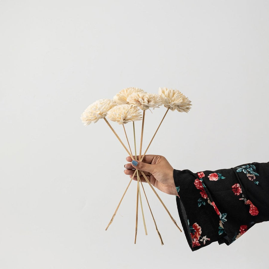 Single cream sola flower stick on plain white background is an artificial decorative flower for DIY floral projects and vase decor.