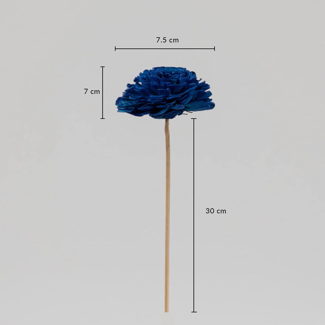 Sola Flower Set Of 5 Blue Dimensions