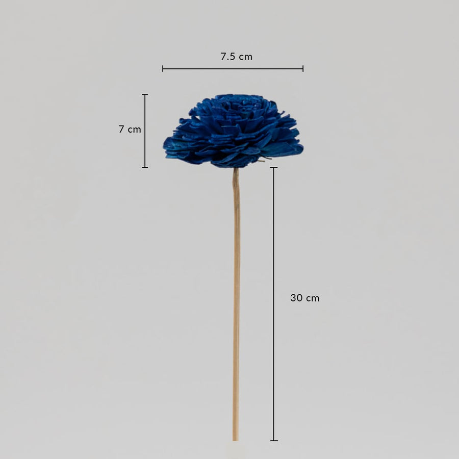 Sola Flower Set Of 5 Blue Dimensions