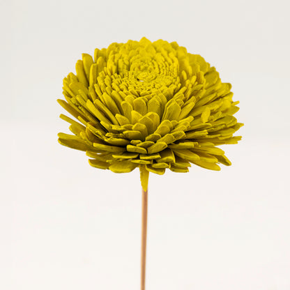 Sola Flower Set Of 5 - Lemon Green
