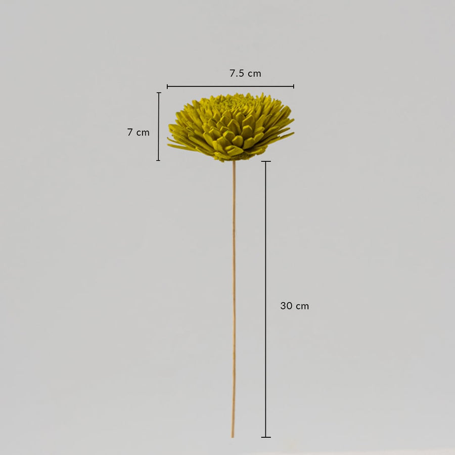 Sola Flower Set Of 5 Lemon Green Dimensions