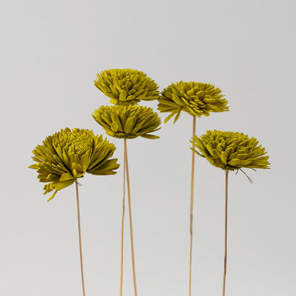 Sola Flower Set Of 5 Lemon Green Grouped