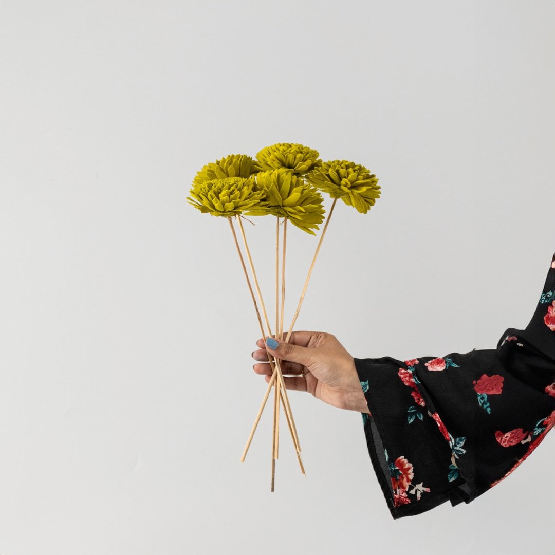 Hand holding a bundle of olive green handmade sola wood flower stems for unique bohemian room vase decor on white backdrop.
