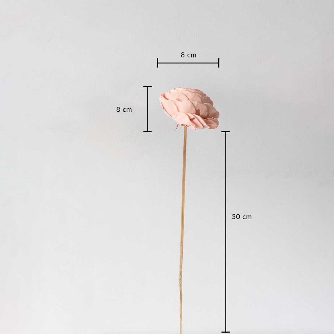 Peach sola flower with stem showing size dimensions of 30 cm height and 8 cm bloom diameter for artificial decor arrangements.