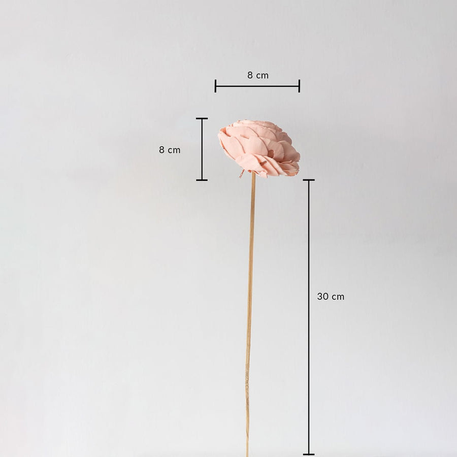 Peach sola flower with stem showing size dimensions of 30 cm height and 8 cm bloom diameter for artificial decor arrangements.