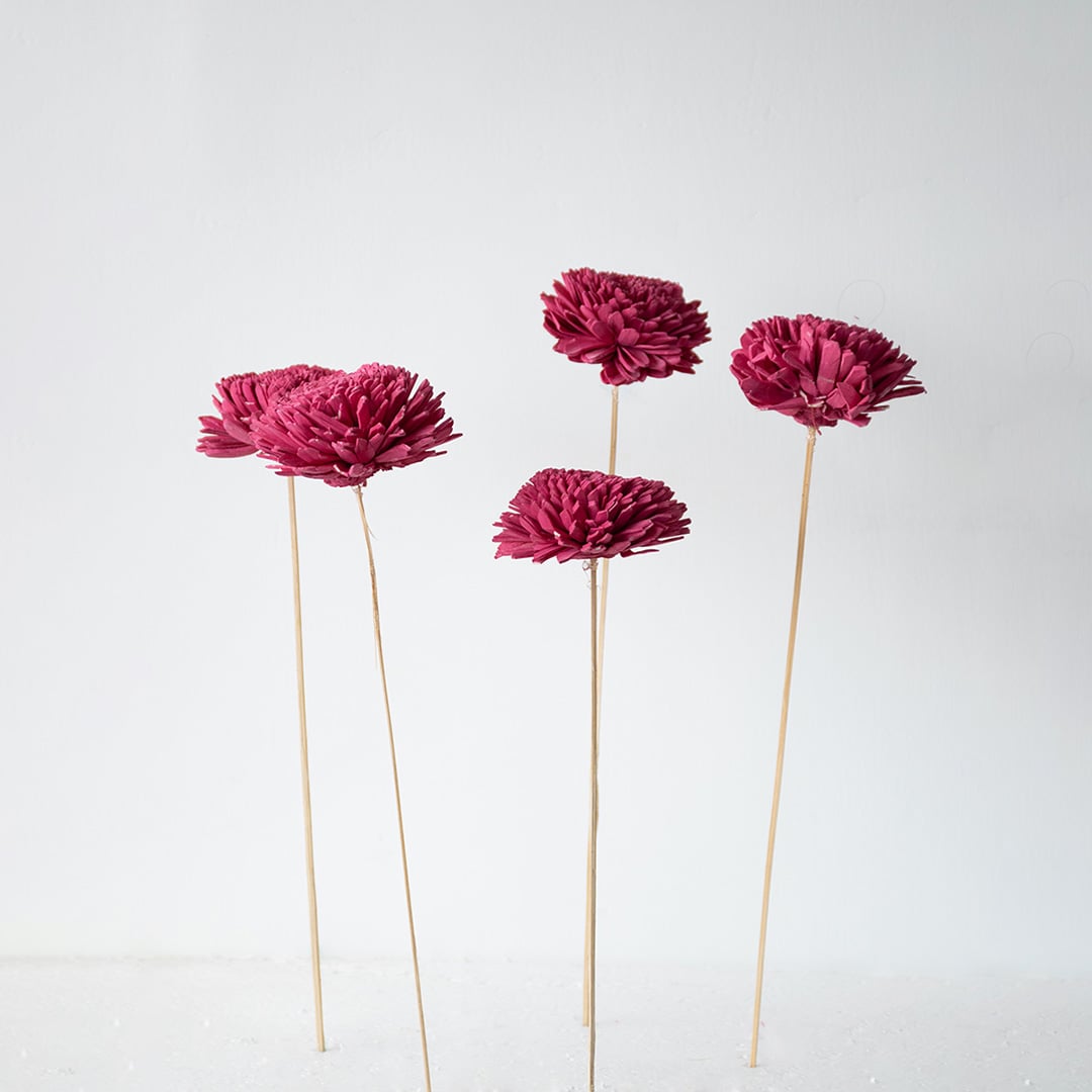 Set of pink sola flower sticks creating an artificial flowers bundle for modern home decoration wedding arrangements and crafts.