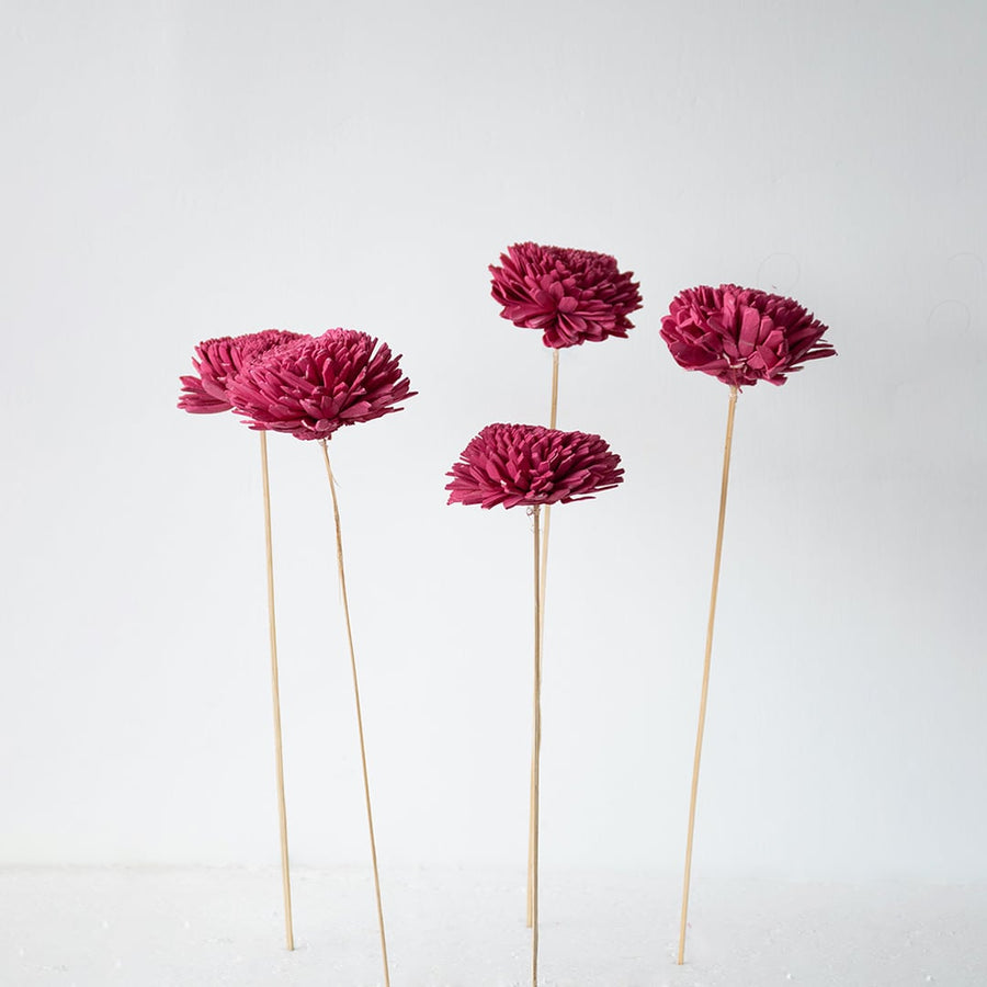 Set of pink sola flower sticks creating an artificial flowers bundle for modern home decoration wedding arrangements and crafts.
