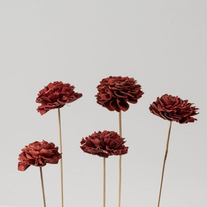 Bundle of red sola flower sticks is an artificial flower set for modern home decor wedding decoration and craft projects.