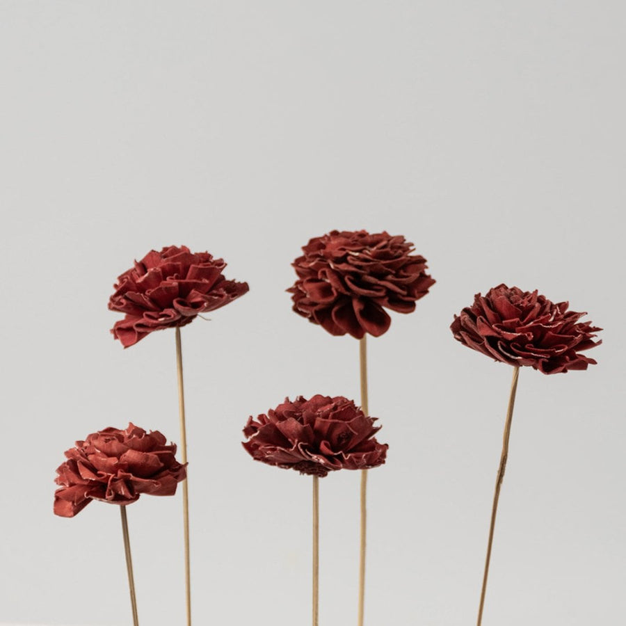 Bundle of red sola flower sticks is an artificial flower set for modern home decor wedding decoration and craft projects.