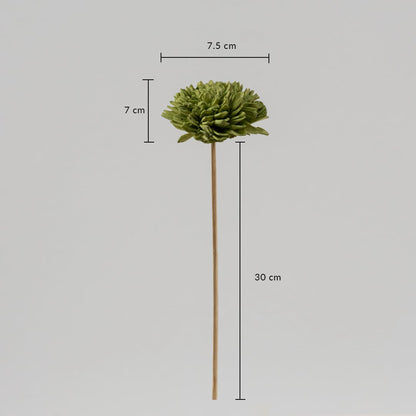 Artificial green chrysanthemum flower stem measuring 30 cm in height and 7.5 cm flower width is displayed with size dimensions.