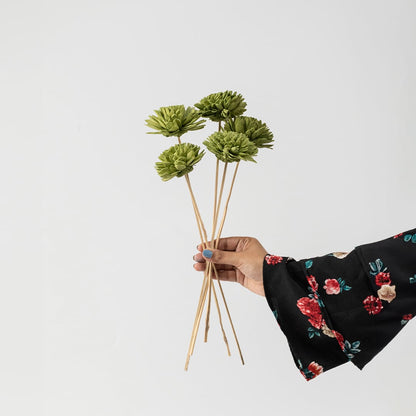 Five green chrysanthemum stems displayed on a plain white background for clear product detailing.