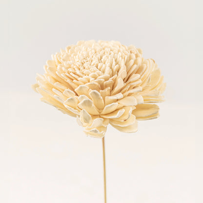 Sola Flower Set Of 5 - White