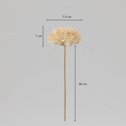 Cream sola flower stick dimensions 30 cm stem with 7.5 cm bloom is an artificial decorative flower for events and home styling.