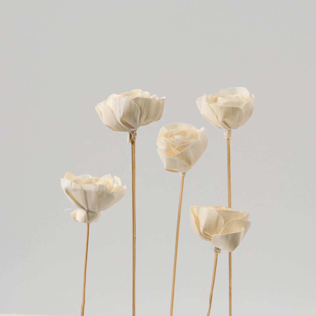 Sola Flower White Rose Set Of 5