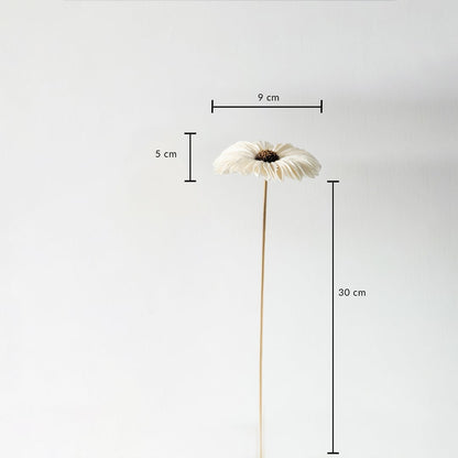 Decorative flower vase size dimensions – 30 cm height flower with 9 cm diameter bloom and 5 cm depth.