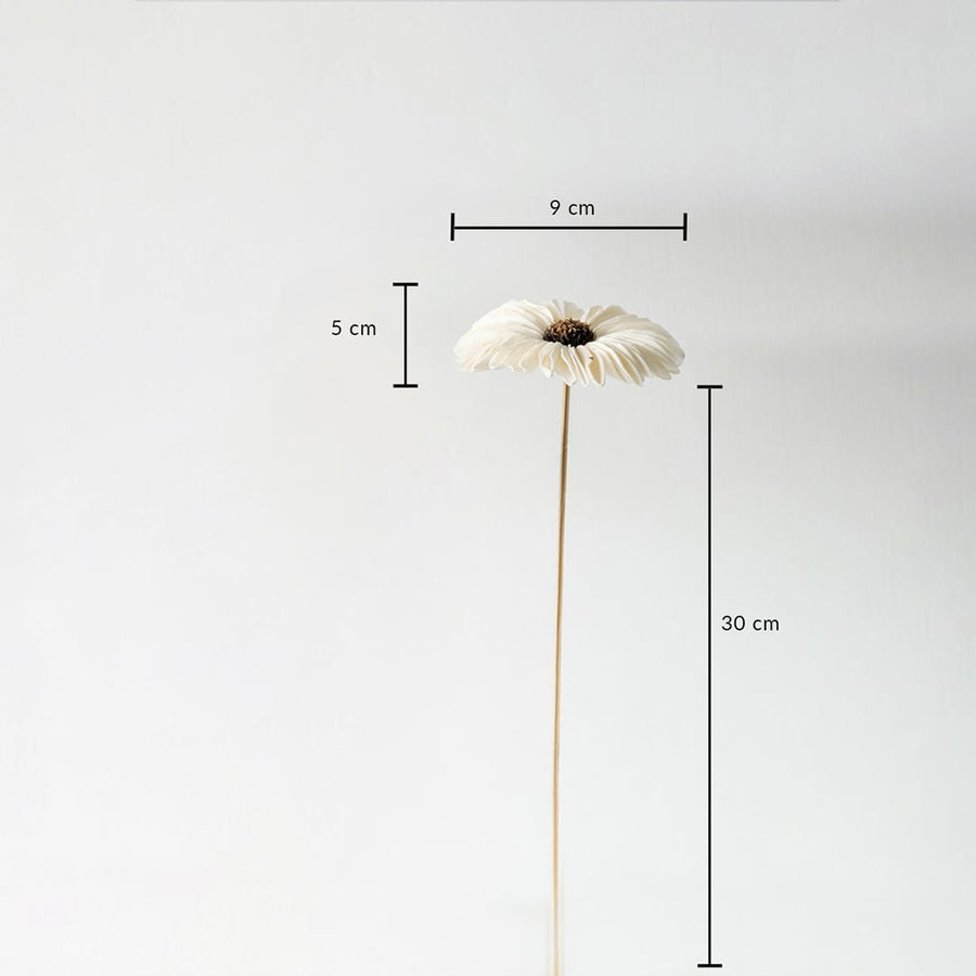 Decorative flower vase size dimensions – 30 cm height flower with 9 cm diameter bloom and 5 cm depth.