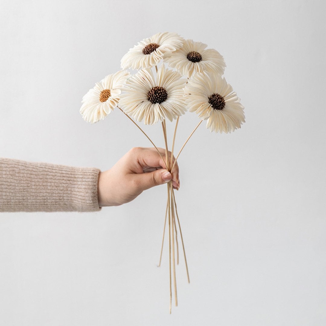 Minimalist burgundy ceramic vase with artificial white flowers on a plain white background – modern decorative vase.
