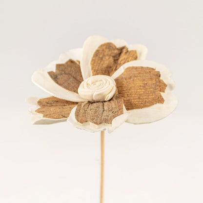 Closeup of handcrafted dried sola wood flower showing petal texture and detailing ideal for natural decor styling.