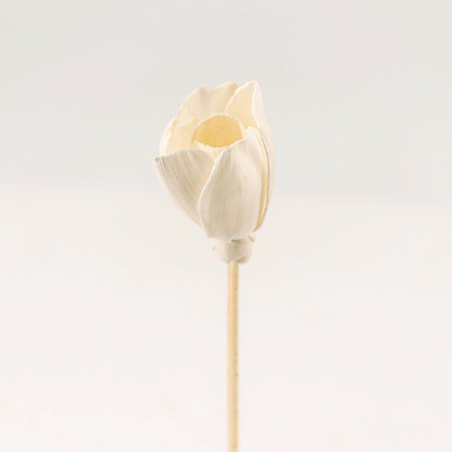 Tulip closeup showing ivory bud flower on natural stem perfect for decorative home styling with modern artificial flowers.