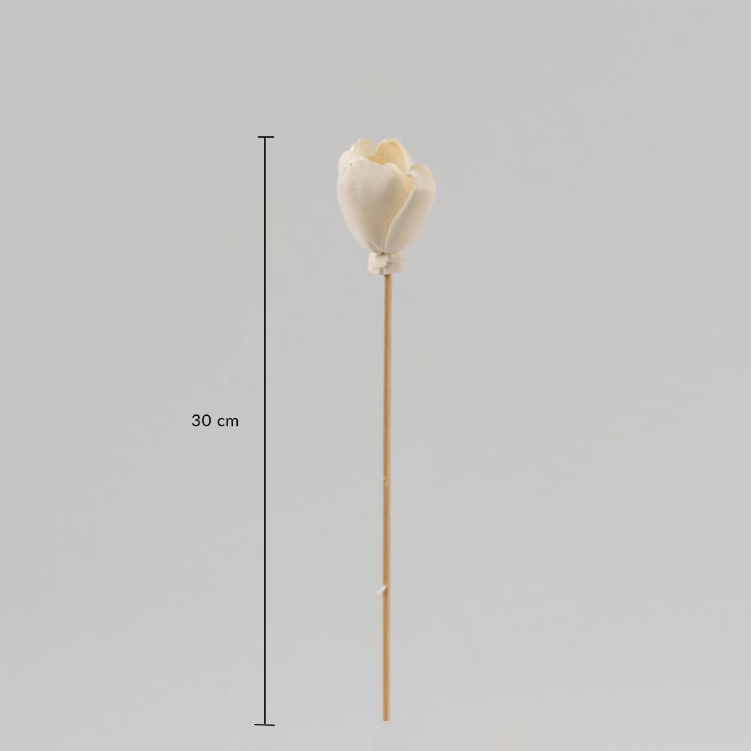 Tulip sola wood flower stick with 30 cm height ivory bud and natural stem perfect for vase decoration and home interiors.