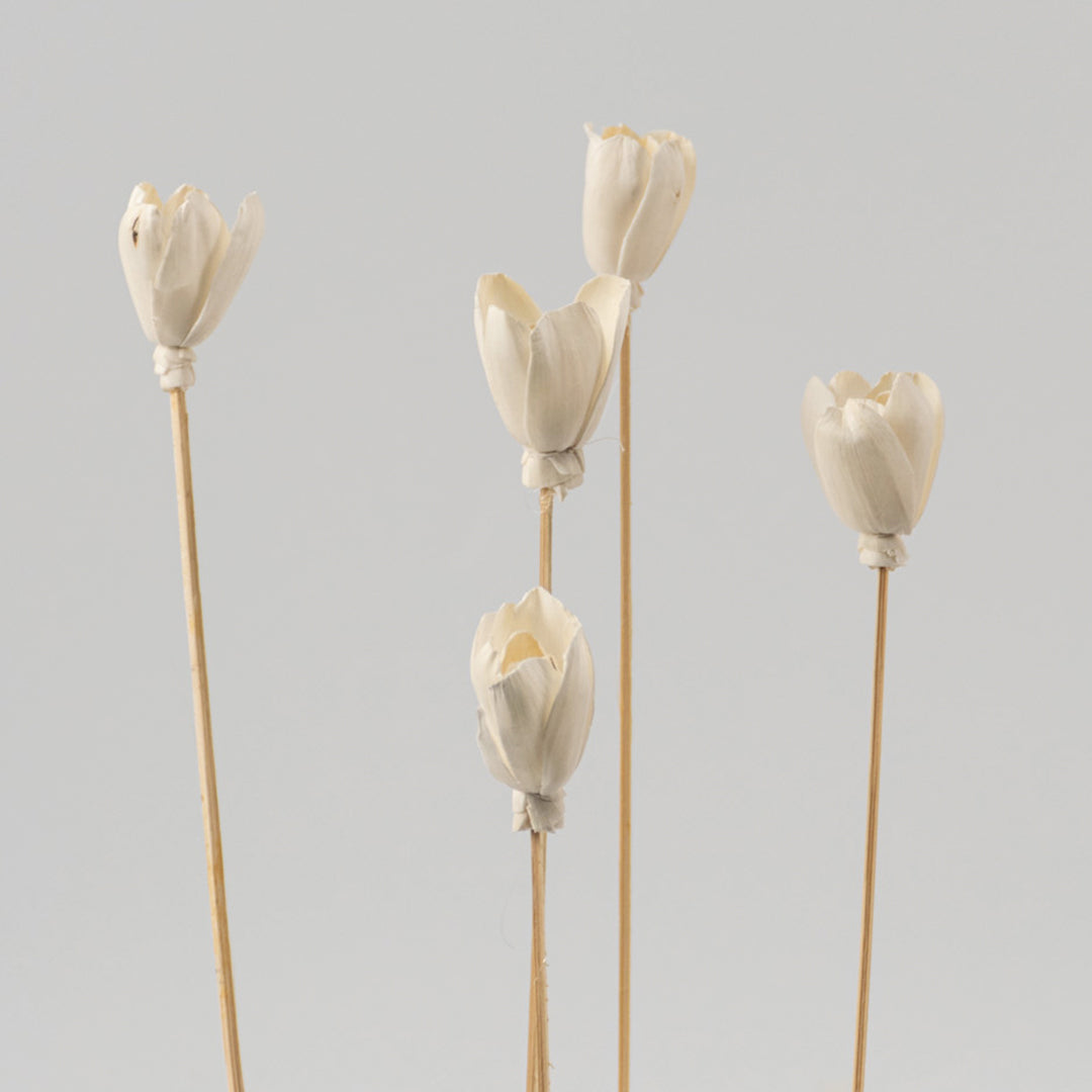 Sola Irozi Flower White Set Of 5