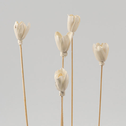 Sola Irozi Flower White Set Of 5