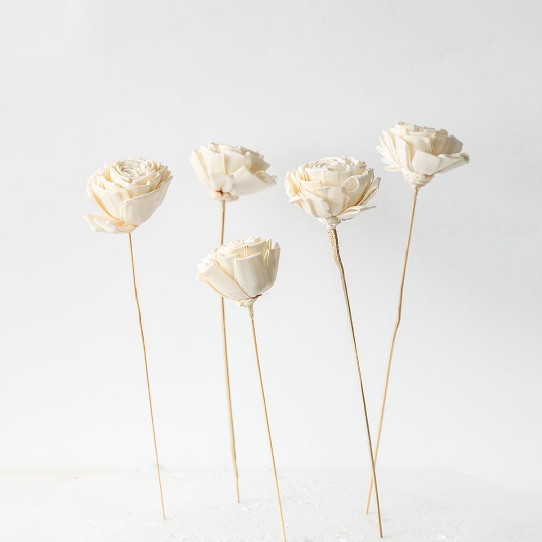 Set of white dried flowers with delicate petals and long stems ideal for home styling and table decor.