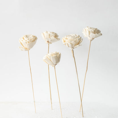 Set of white dried flowers with delicate petals and long stems ideal for home styling and table decor.