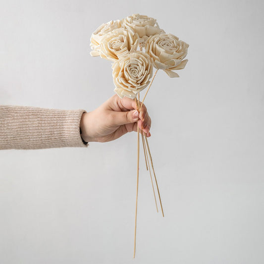 Hand holding a bundle of cream white handmade sola wood flower stems for unique bohemian room vase decor on white backdrop.