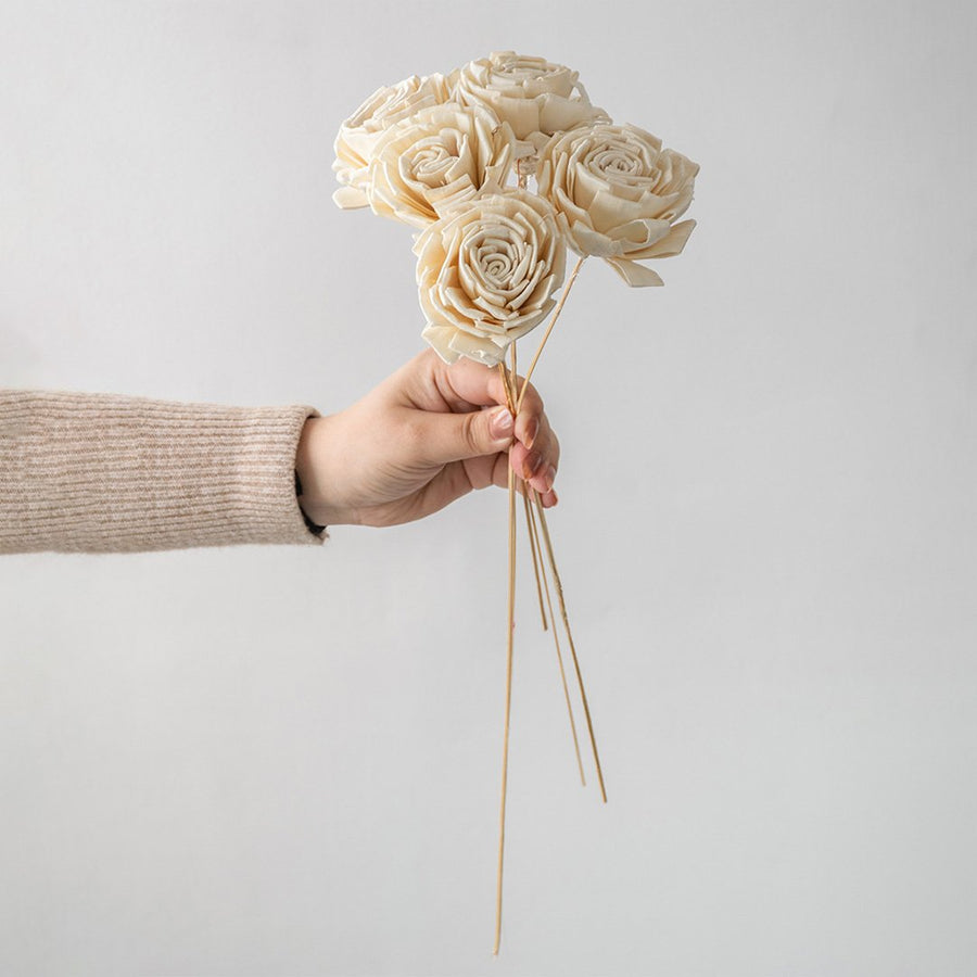 Hand holding a bundle of cream white handmade sola wood flower stems for unique bohemian room vase decor on white backdrop.
