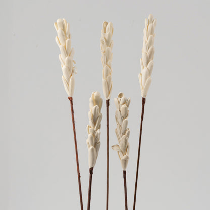 Sola Wood Casia Flower White Set Of 5