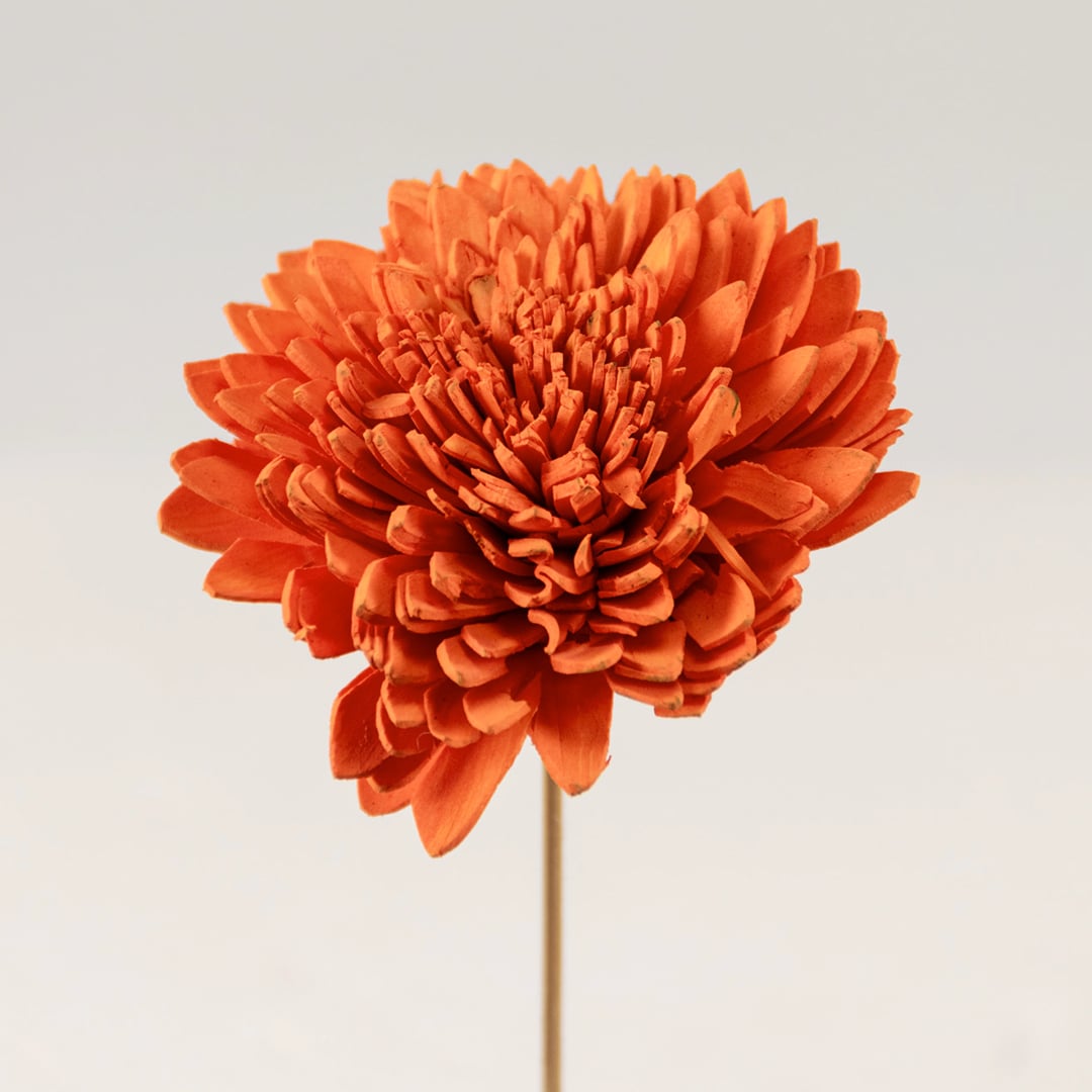 Detailed view of orange dried flower petals with natural rustic finish perfect for modern and traditional home decor.