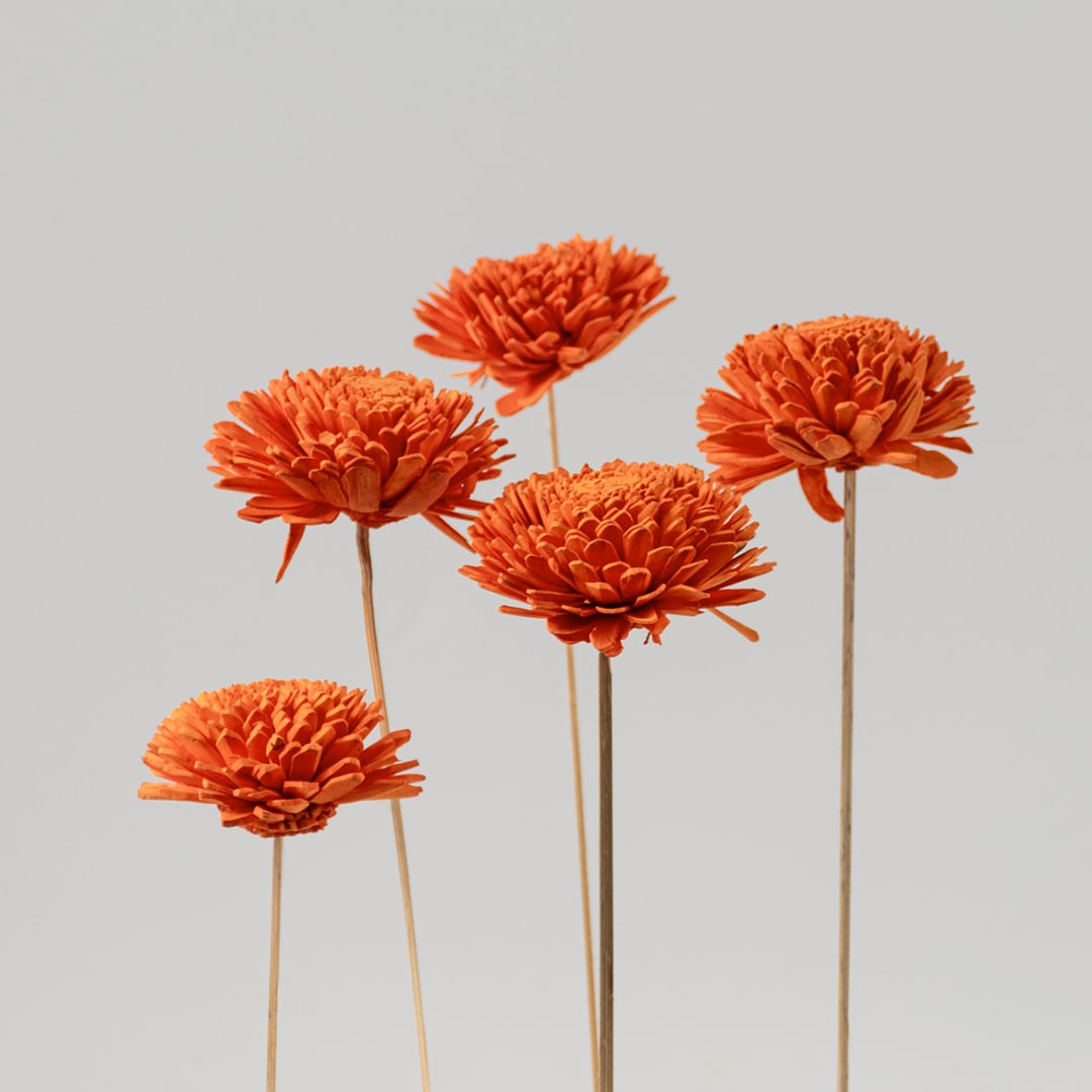 Grouped image of orange dried floral stems displayed together creating vibrant decorative accent for modern table and shelf decor.