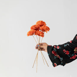 Sola Zinnia Wild Tangerine Orange Flower Set Of 5
