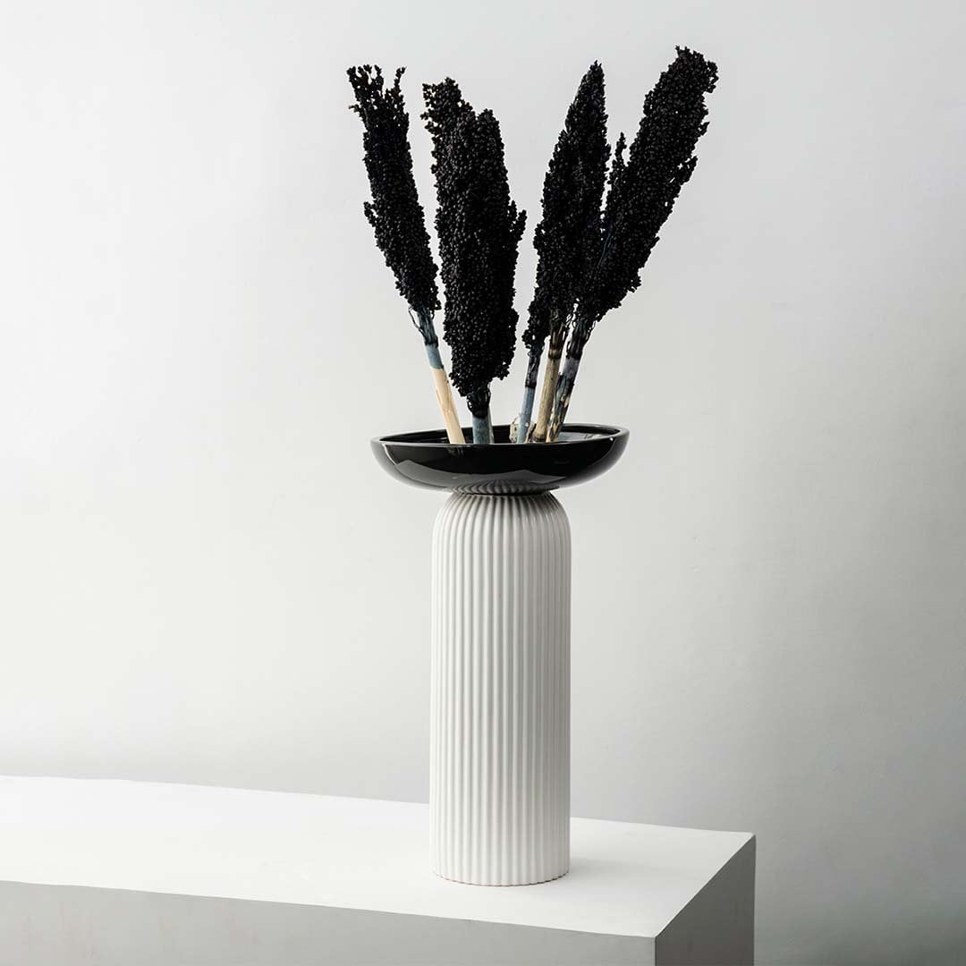 Black sorghum dried grass stems on white background highlighting natural texture bold tone and decorative appeal for vases and interior styling.