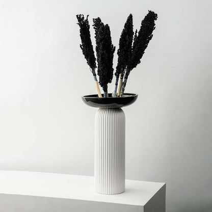 Black sorghum dried grass stems on white background highlighting natural texture bold tone and decorative appeal for vases and interior styling.